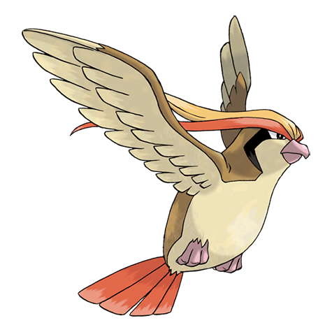 Flying-type mystery Pokémon silhouette