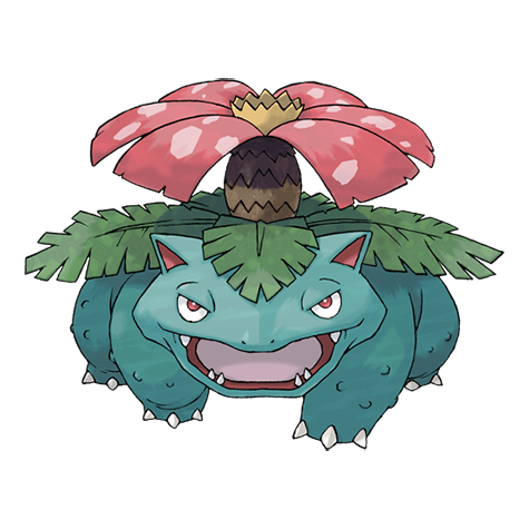 Venusaur silhouette, algorithmic comparison