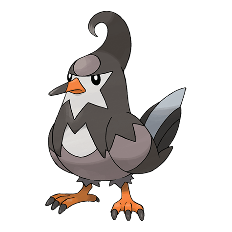 Staravia silhouette, algorithmic comparison